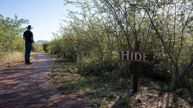 Rockfig Lodge Hide