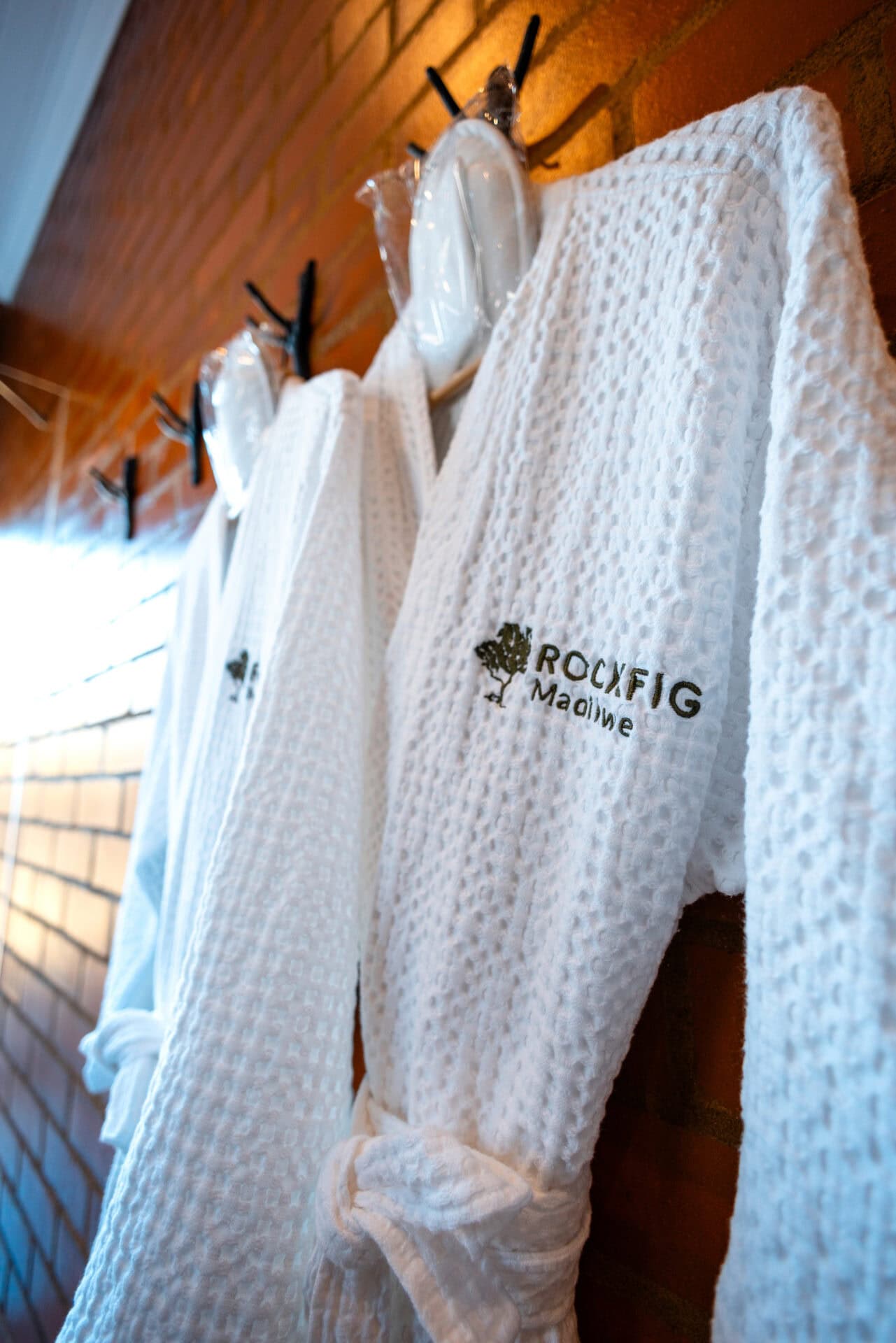 Rockfig-BVDW1297