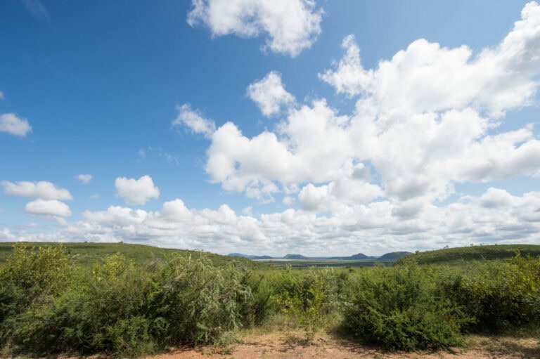 Madikwe Rockfig Lodge