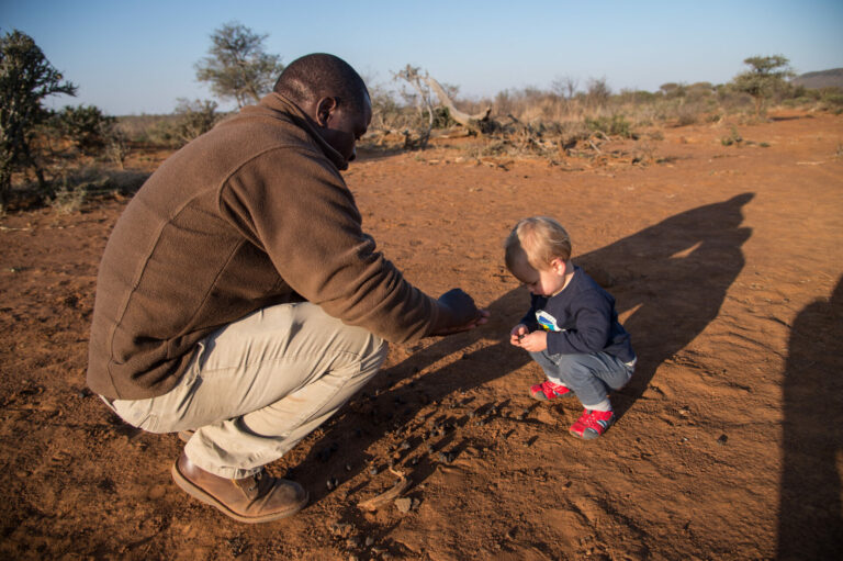 Kids Safari