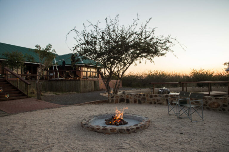 Perfect Evenings
