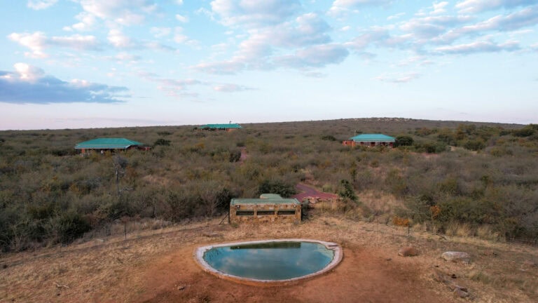 Rockfig Lodge Hide