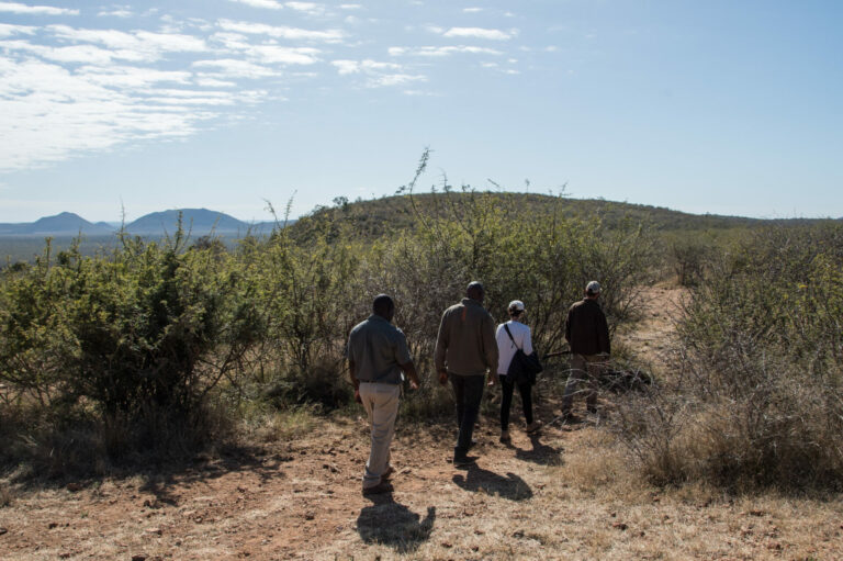 Guided Walks