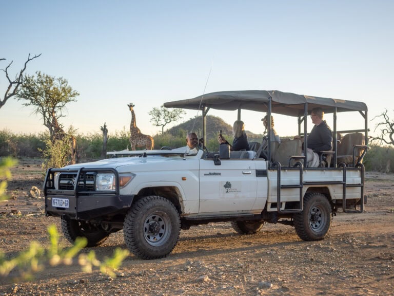 Rockfig Madikwe Game Drives