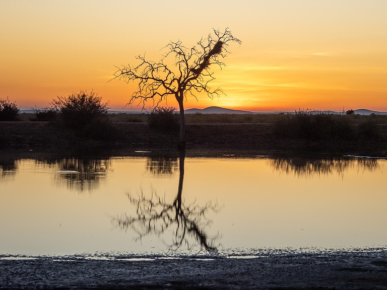 Madikwe: The Most Amazing Game Reserve You’ve Never Heard Of