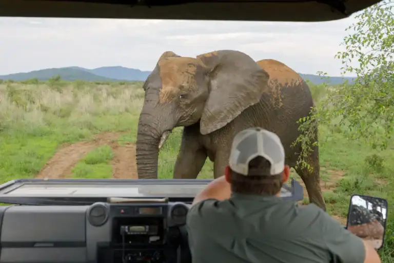 Meet the Madikwe Masters