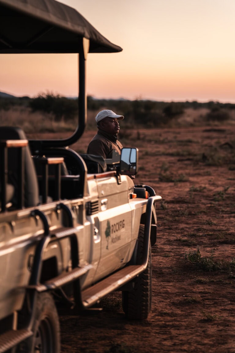 The Untamed: A Guide’s Morning Surprise