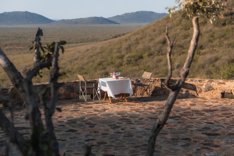 The Ultimate Escape: Why a Safari is the New Wellness Retreat for the Whole Family