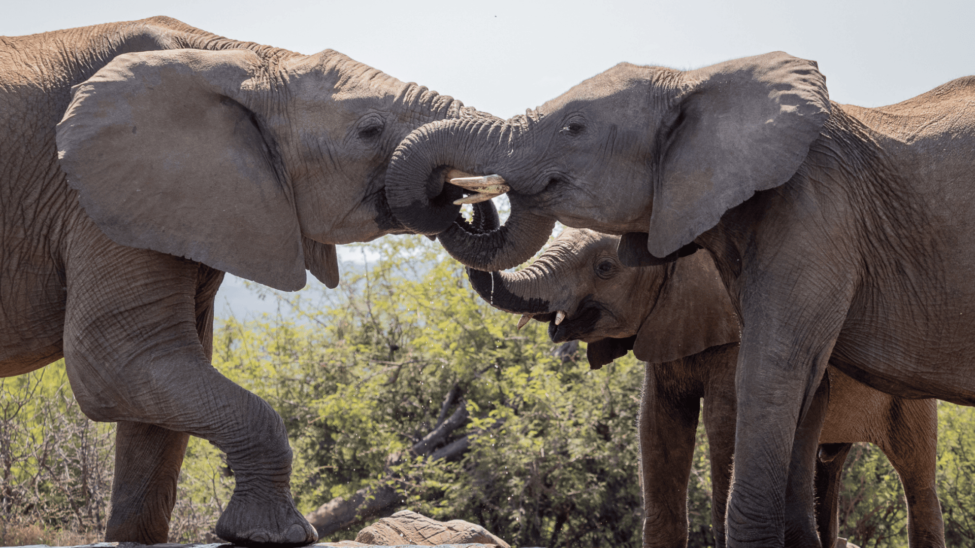 RF Jan Blog Images 26 1