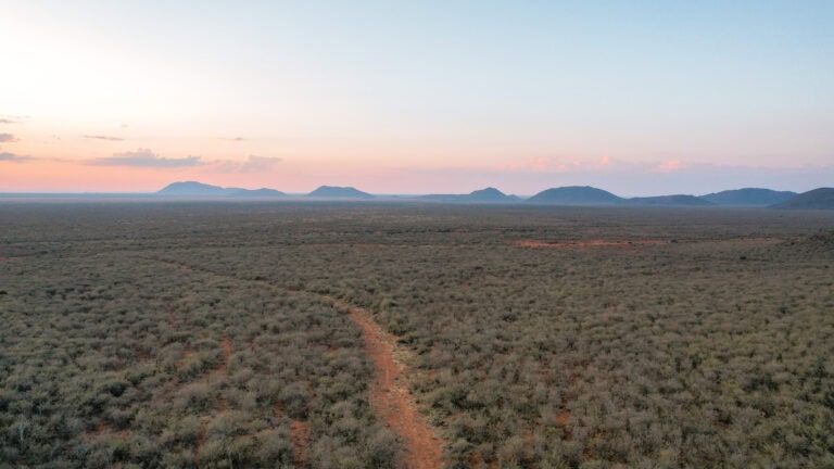 An Insider’s Guide to Rockfig Madikwe