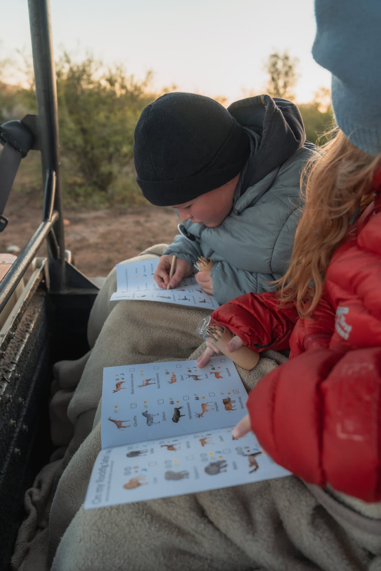 More Than Just a Passenger: A Safari Made for Kids 4 RockfigMadikwe 407