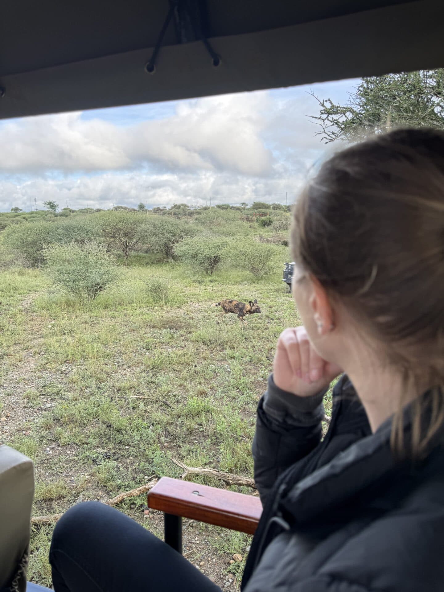 From First Light to Firelight: Your Stay at Rockfig Madikwe 3 IMG 5619