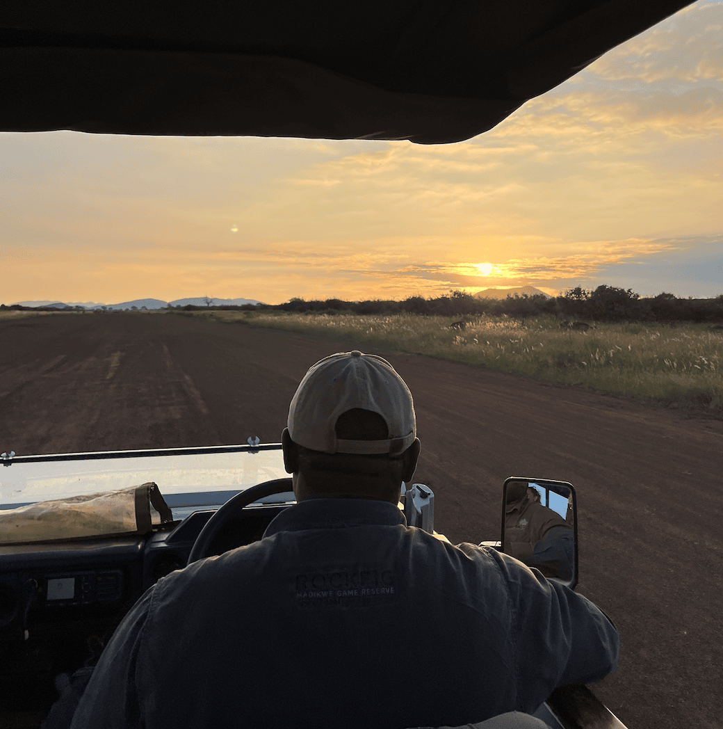 From First Light to Firelight: Your Stay at Rockfig Madikwe 1 Screenshot 2026 05 06 at 12.14.49