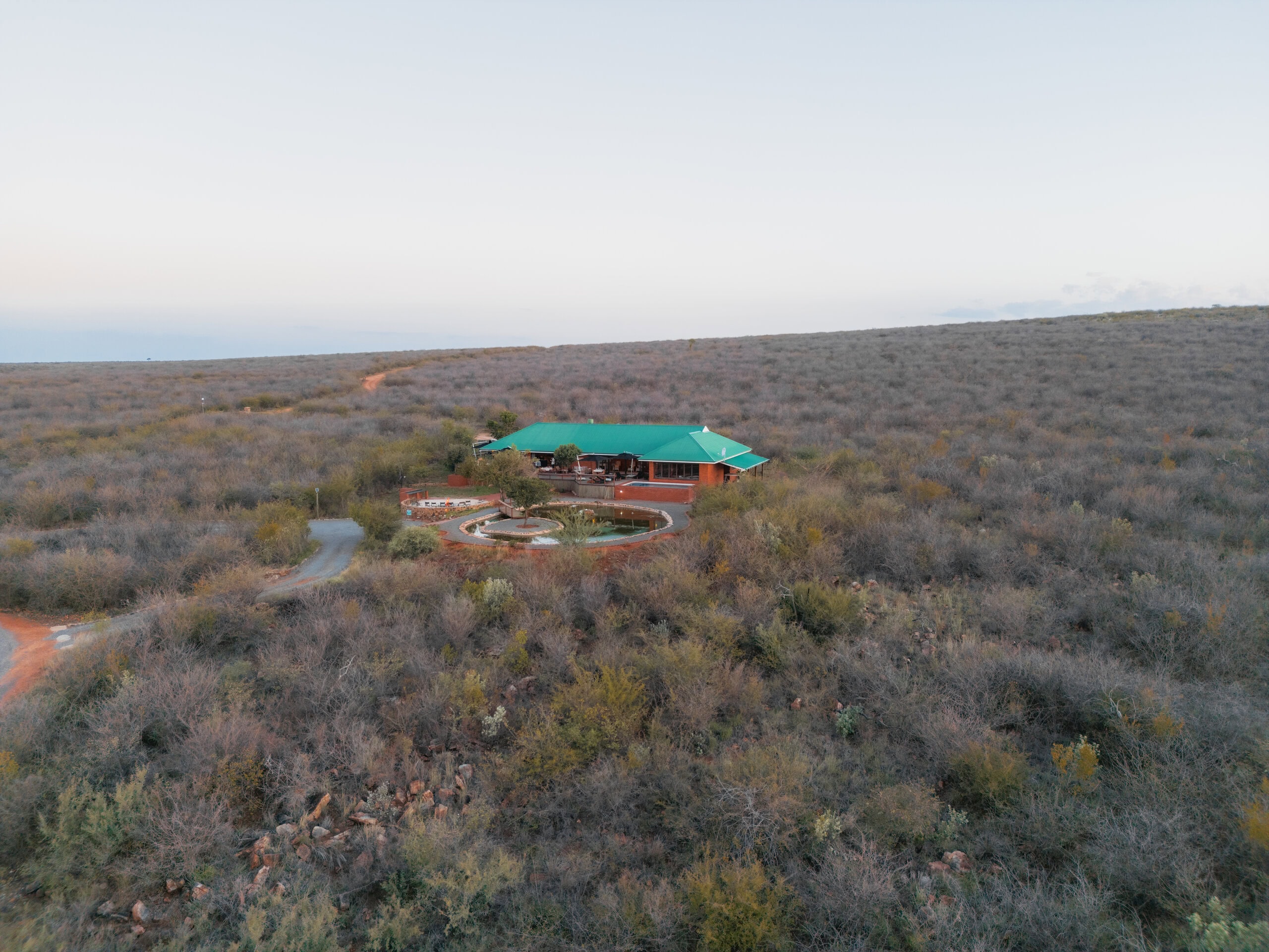 Meet Madikwe’s Winter Stars: Wildlife to Look Out For This June 6 RockfigMadikwe 177