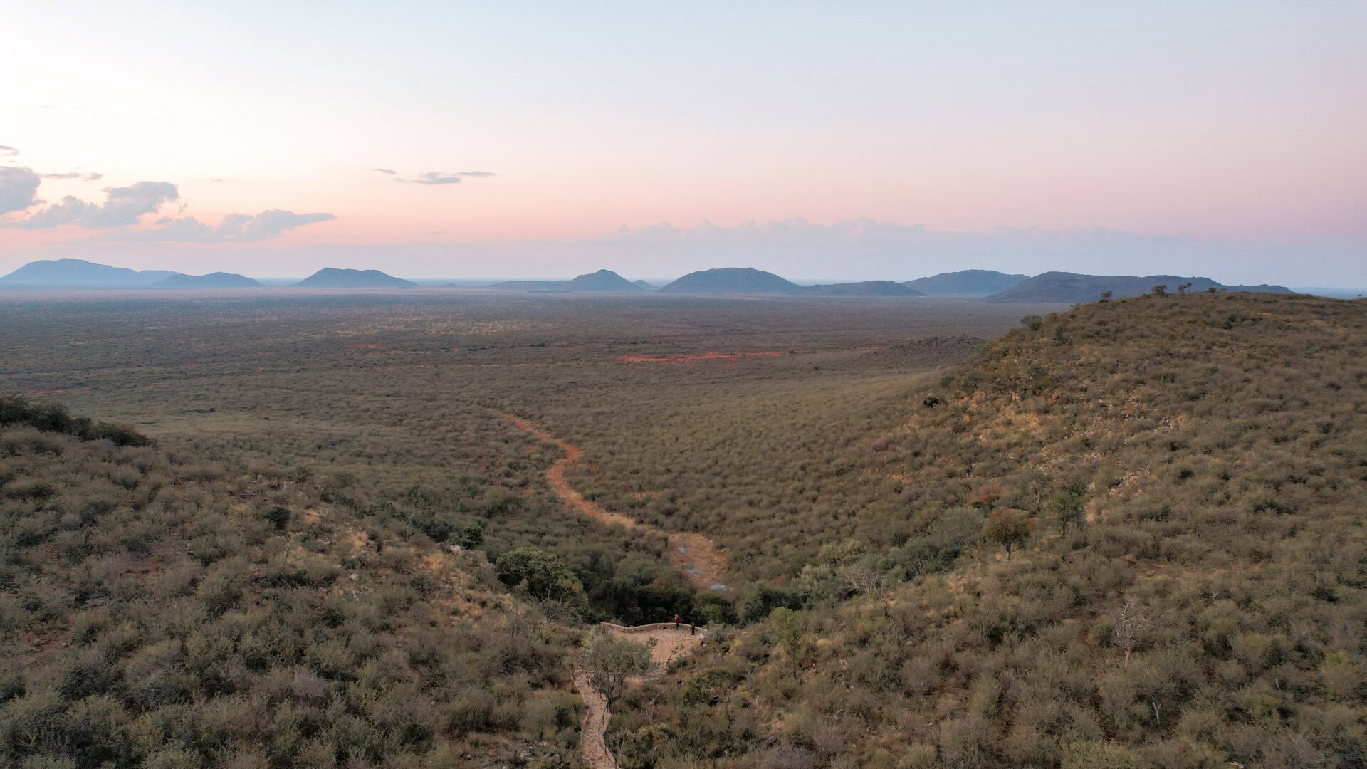 How to Plan a Safari Trip to Madikwe Game Reserve: Everything You Need to Know
