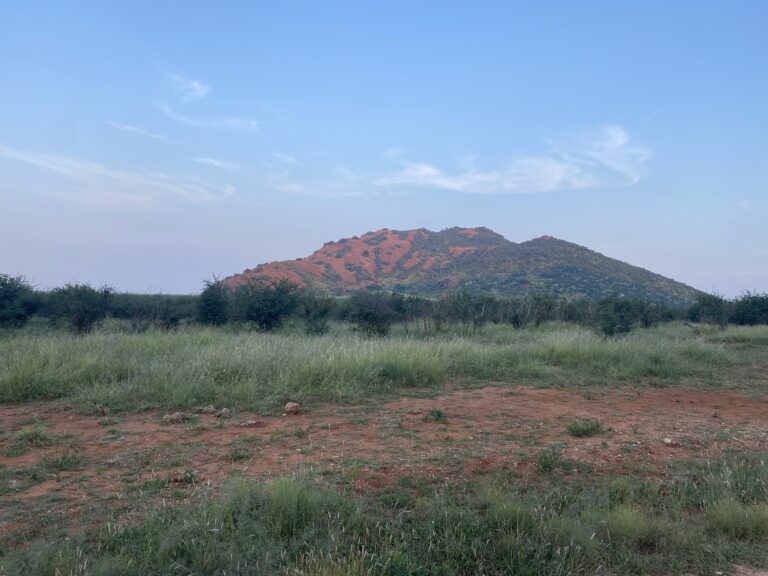 The History of Madikwe Game Reserve: From Ancient Wilderness to a Conservation Success Story