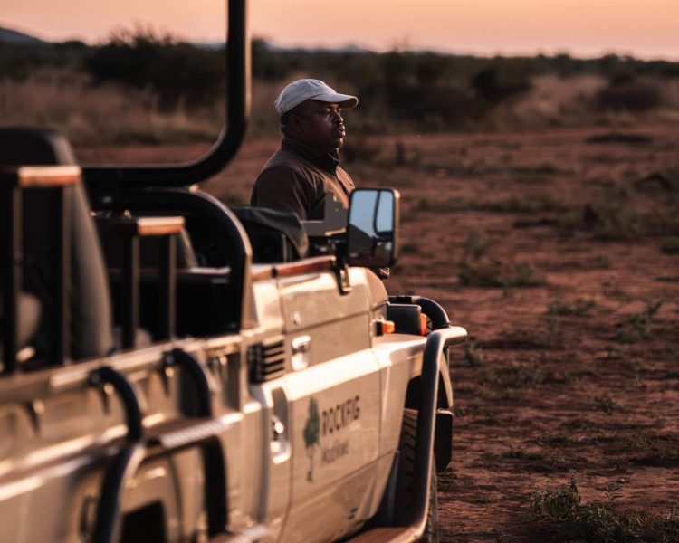 Full_Size-_AR32494-Enhanced-NR