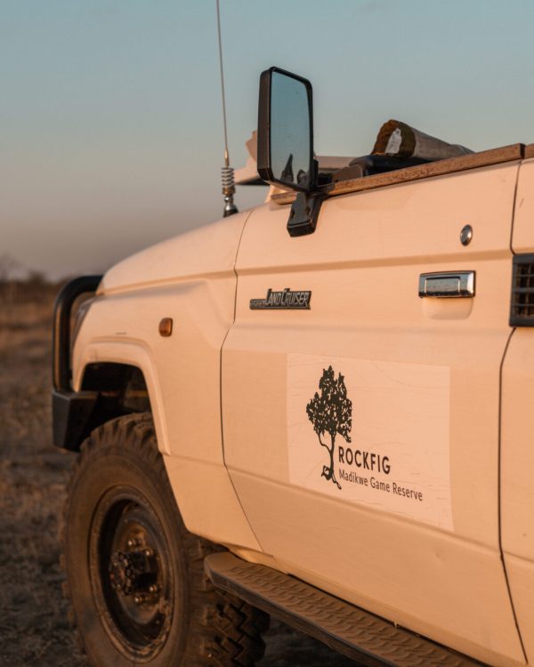 Rockfig Lodge Safari Drive