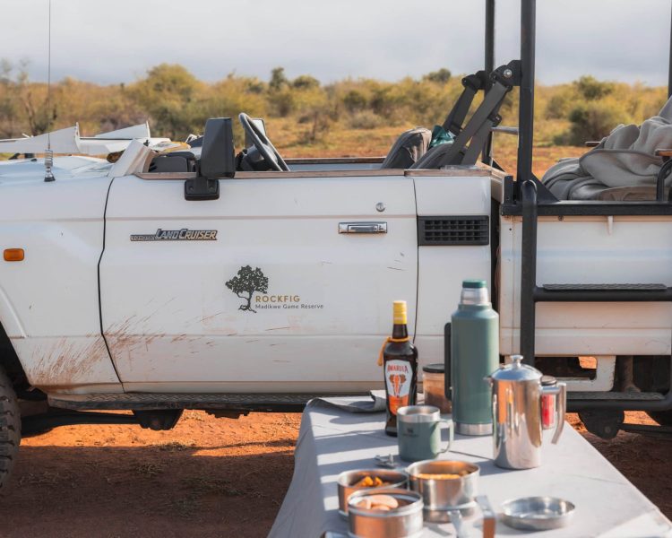 RockfigMadikwe-128