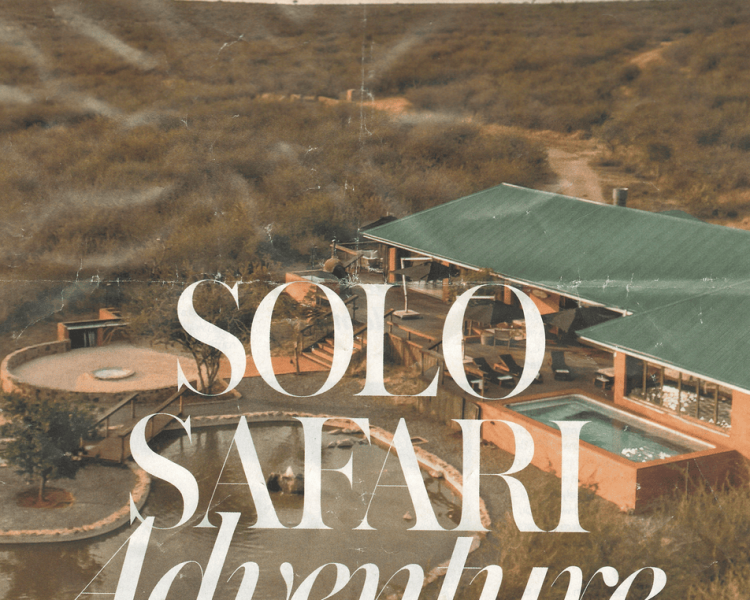 Solo Safari Adventure