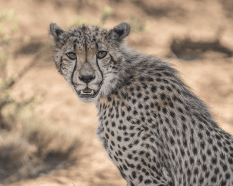 Screenshot 2024-07-05 at 17.06.48