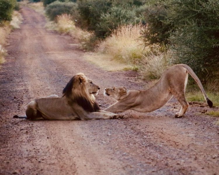 WhatsApp Image 2024-02-14 at 09.17.10 (1)