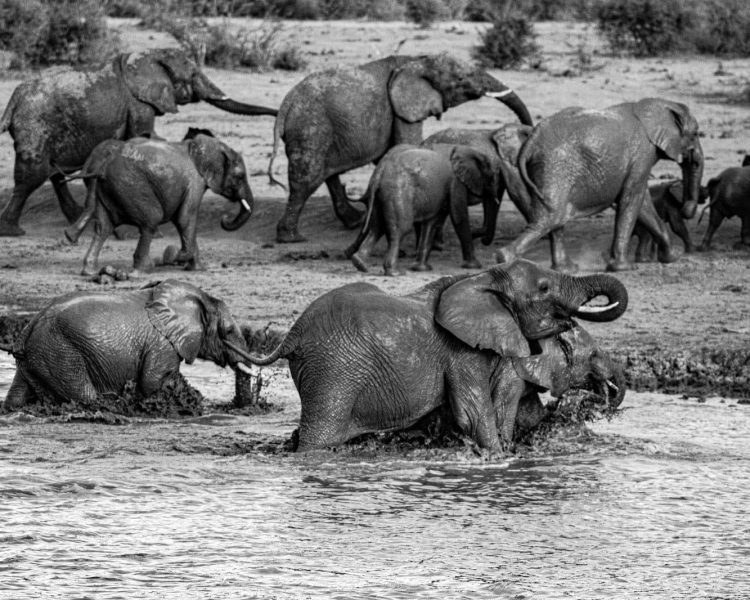 WhatsApp Image 2024-02-26 at 12.48.56 (1)