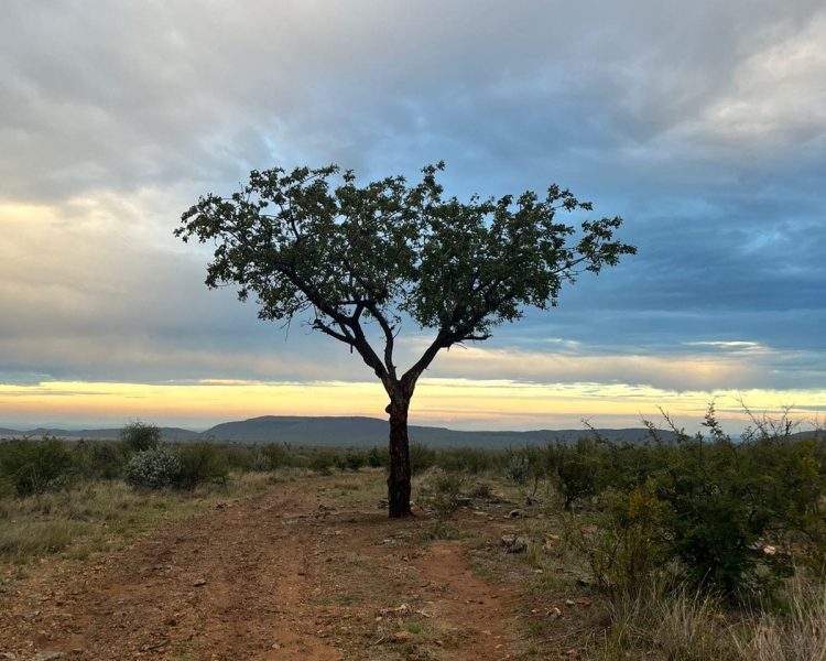 WhatsApp Image 2024-04-17 at 17.48.19